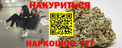 гашик Будённовск
