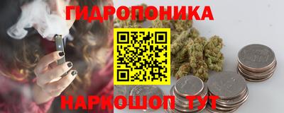 гашик Будённовск