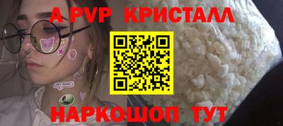 гашик Будённовск