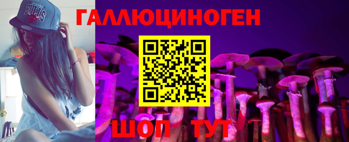Элиста  Псилоцибиновые грибы мухоморы  купить наркотики цена  Вход с VPN 